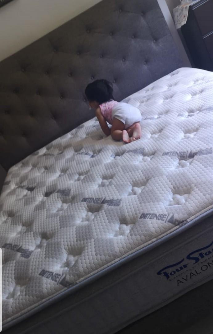 King Size Mattress 4 Star Detense Avalon Furniture Beds Mattresses On Carousell