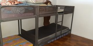 (Category: ) located in . Submitted by msclutter (Listing ID 1012012130, Image 1). Description: .