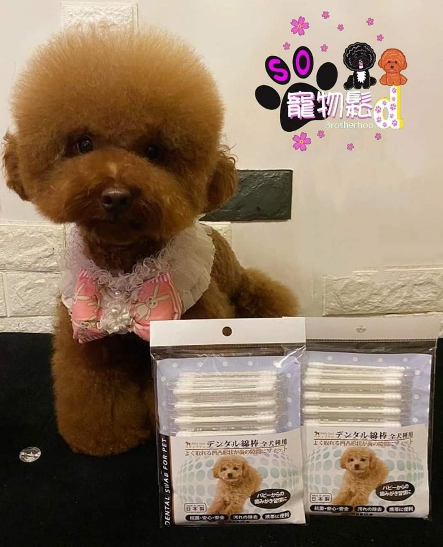 Pet Y Soin寵物刷牙棉棒 50支 寵物用品 寵物衣服 Carousell