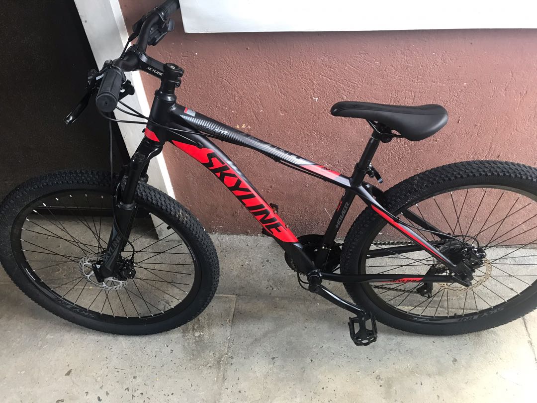 skyline mountain bike price