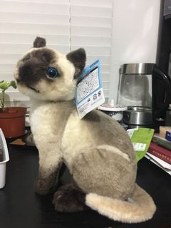 （分類：）位於 。 由 josea3 提交（商品編號 1012416257，圖片 1）。簡介： 。