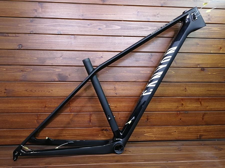 canyon mtb frame price