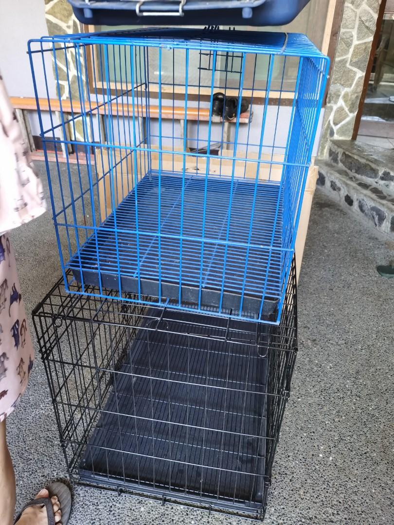blue dog cage
