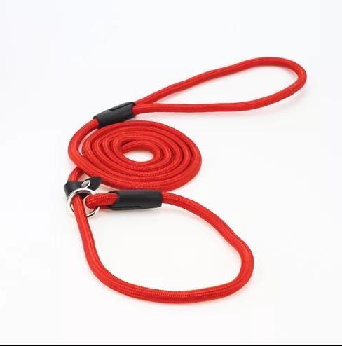 nylon dog leash