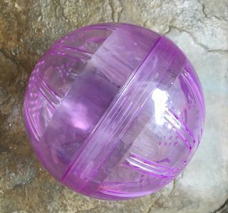 (Category: ) located in . Submitted by oceanblue5 (Listing ID 1012268068, Image 1). Description: .