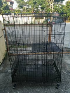 (Category: ) located in . Submitted by anisceasar (Listing ID 1012359579, Image 1). Description: .