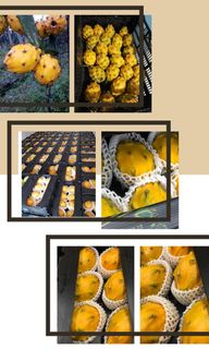 （分類：）位於 。 由 jojostore. 提交（商品編號 1017468979，圖片 1）。簡介： 。