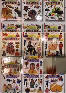 （分類：）位於 。 由 laumama2002 提交（商品編號 1017508973，圖片 1）。簡介： 。