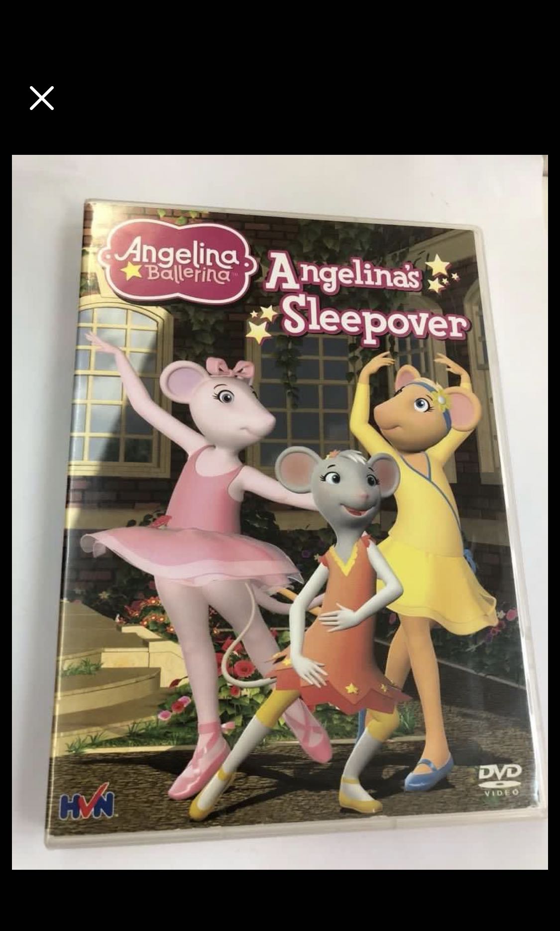 Angelina Sleepover Dvd Music Media Cds Dvds Other Media On Carousell