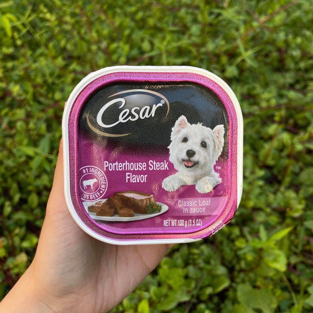 Is Cesar Dog Food Good For Shih Tzu