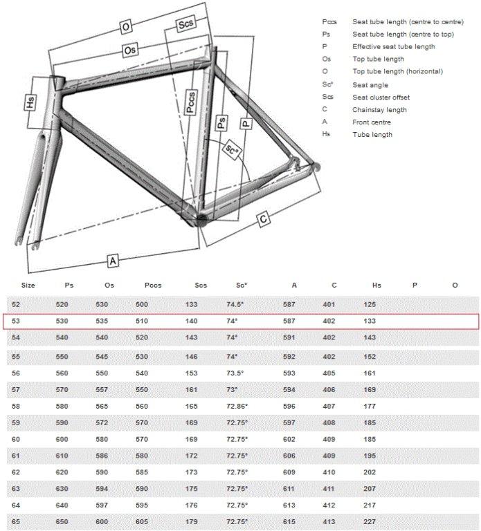 Colnago c59 2025 size chart
