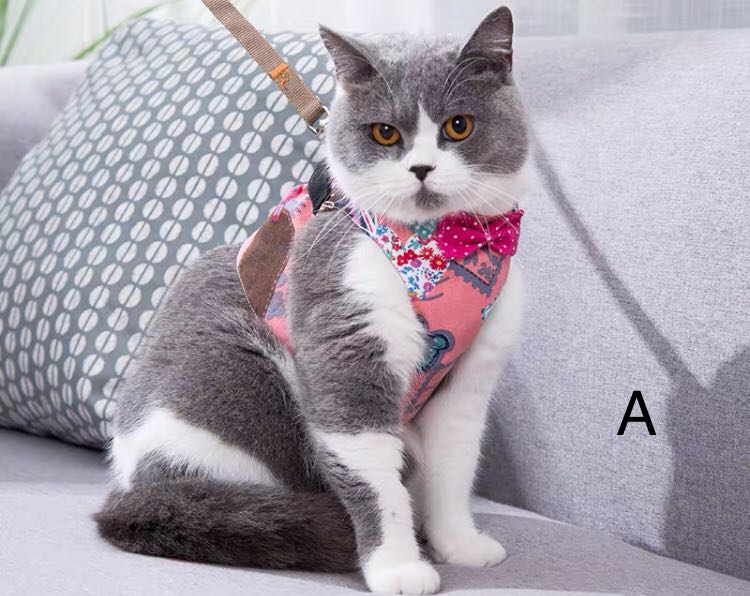 Dress And Leash 2 In 1 For Cats Cats Clothing And Leash Pet Supplies For Cats Cat Accessories On Carousell