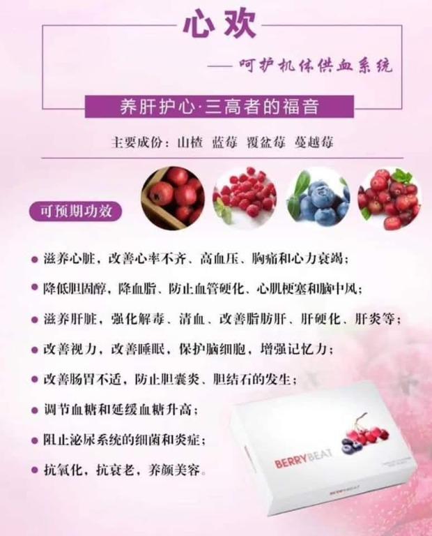 eLEAD BERRYBEAT (心欢), Everything Else on Carousell