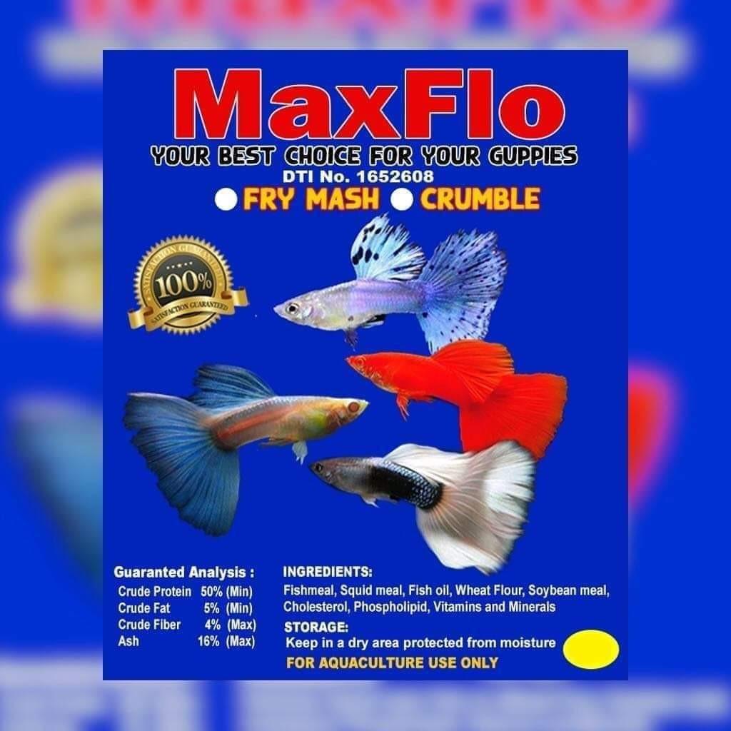 Maxflo Guppy Feeds Pets Supplies Pet Food On Carousell