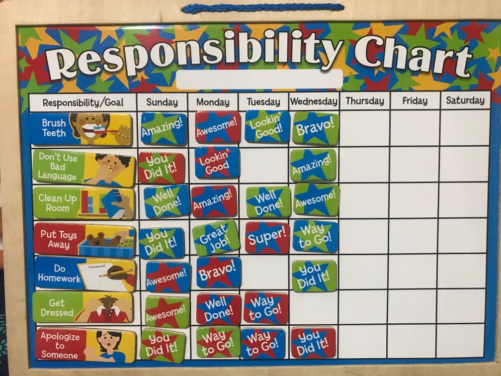 melissa and doug responsibility chart canada