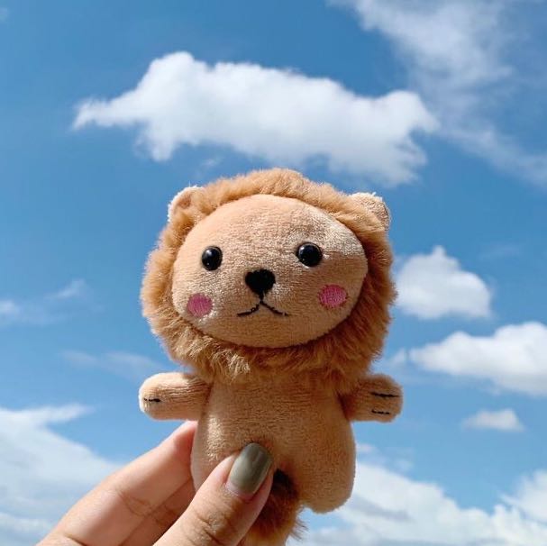 cute lion plush