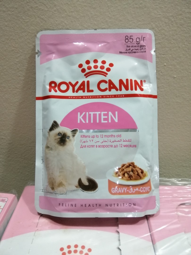 Royal Canin Kitten Pet Supplies For Cats Cat Food On Carousell