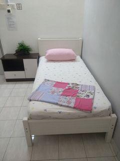 Room Rent Penang Rentals Carousell Malaysia