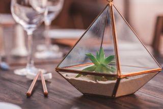 Artificial Succulents in Loviver Glass Metal Terrarium