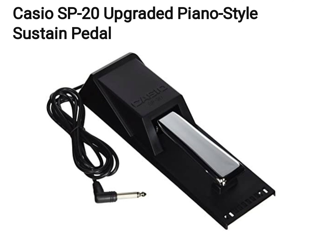 Casio Sustain Pedal for Keyboards, Hobbies & Toys, Music & Media, Music