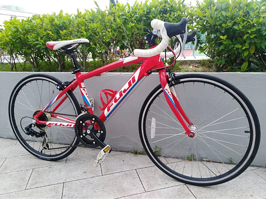 Fuji ace 24 inch road bike sale