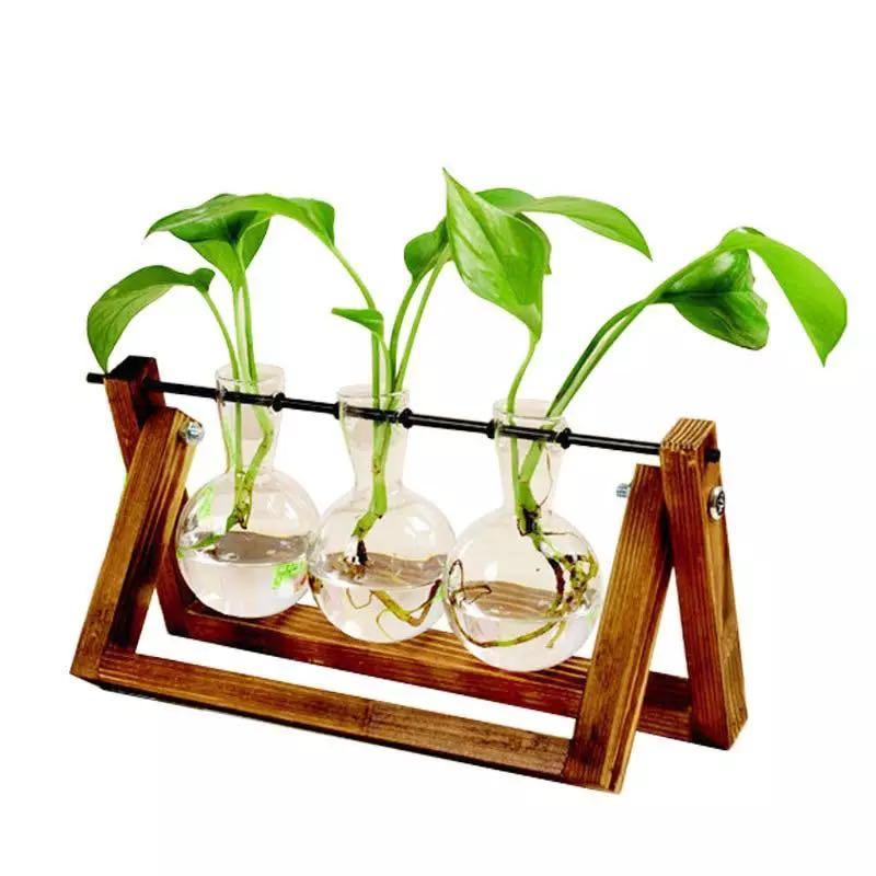 Hydroponic Plant Vases Vintage Flower Pot Transparent Vase Wooden
