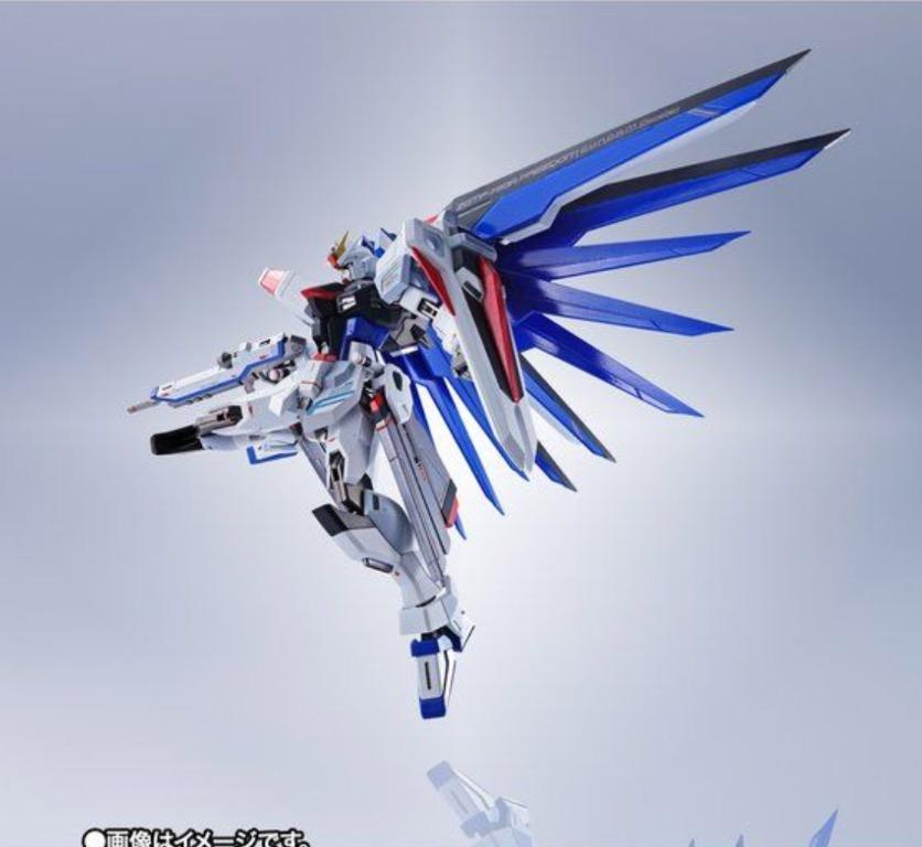 Metal Robot魂freedom Gundam Side Ms 興趣及遊戲 玩具 遊戲類 Carousell