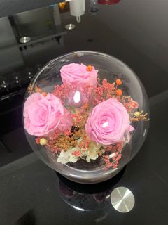 (Category: ) located in . Submitted by doris_florist (Listing ID 1019691695, Image 1). Description: .