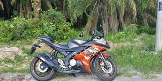 (Category: ) located in . Submitted by dubbywabbie (Listing ID 1019684869, Image 1). Description: .