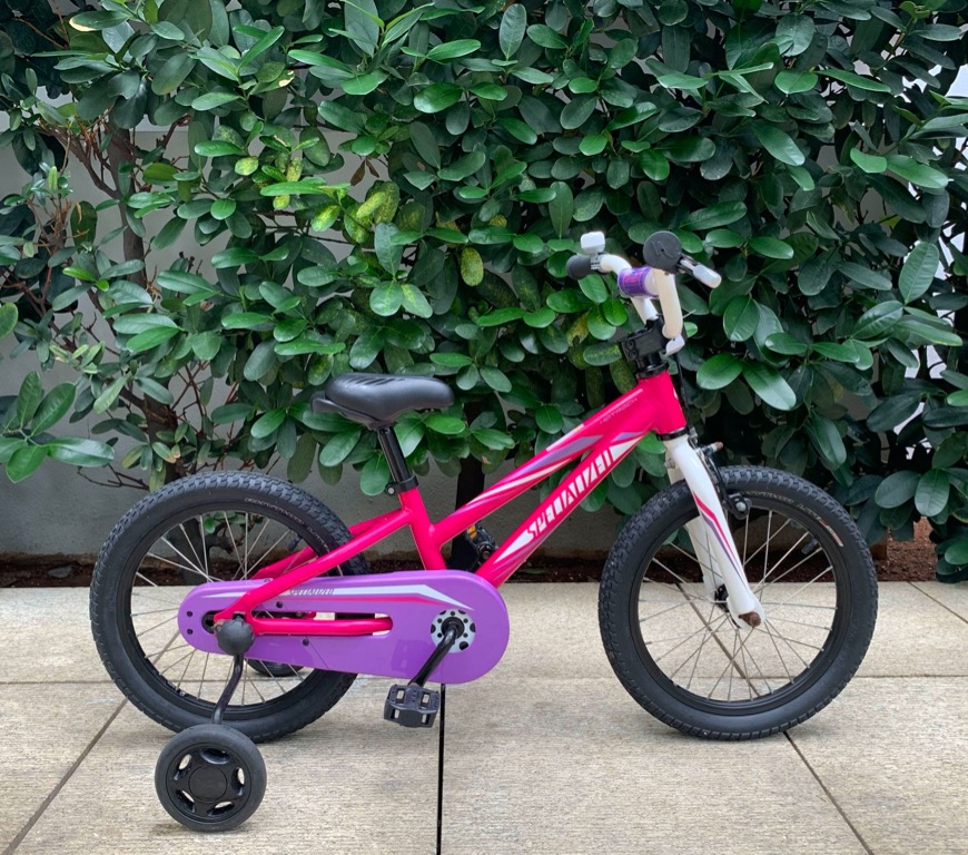 Specialized Hotrock 16