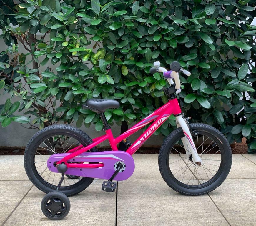 Specialized hotrock hotsell 16 pink