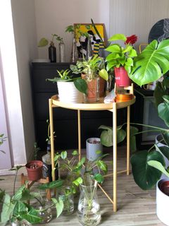 (Category: ) located in . Submitted by prachi (Listing ID 1019555113, Image 1). Description: .