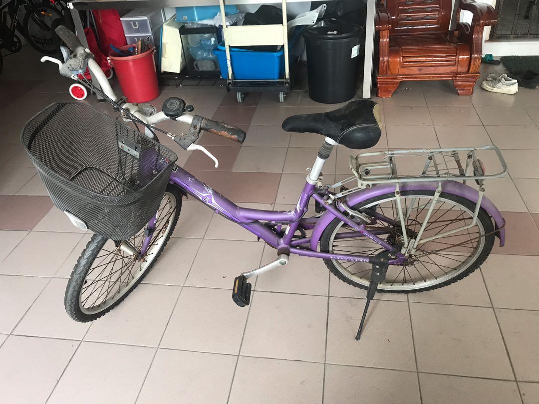 used raleigh bikes
