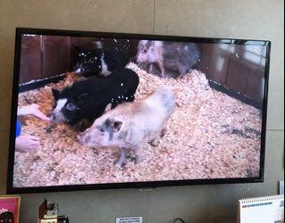 40inch Samsung Smart TV