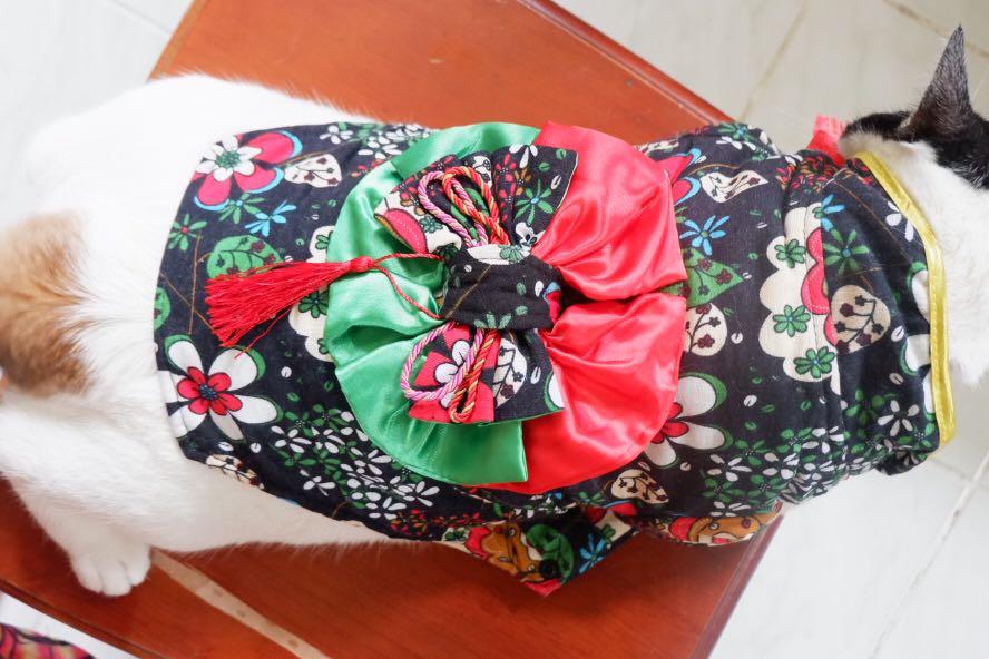 Cat Kimono (Category: Homes & Other Pet Accessories) located in Antipolo. Submitted by a_echevarria (Listing ID 1019917408, Image 2). Description: Cat clothing Will also fit small dogs Japanese style (kimono) RFS: Too small for my fat cat PS: cat not included .