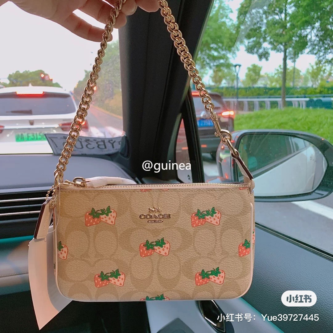 coach strawberry bag
