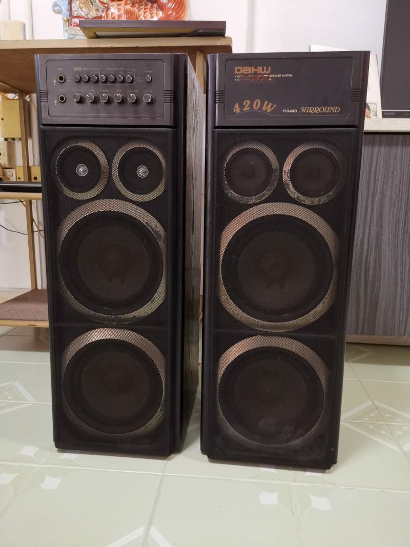 dual channel speaker