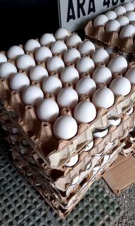 Fresh eggs from Tanay Farm