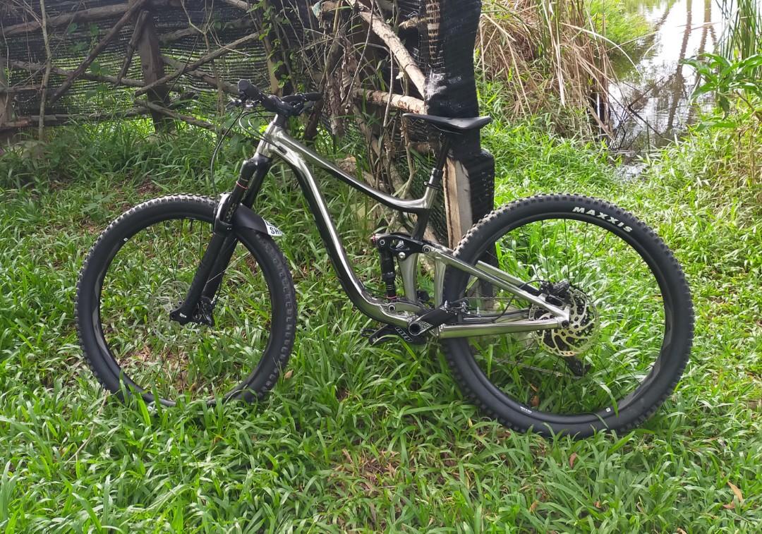 giant reign 2 29er 2020