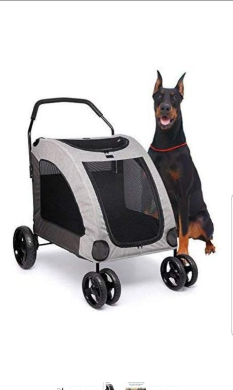jumbo pets nexgard spectra