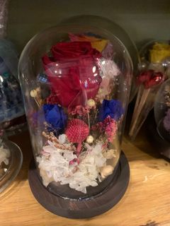 (Category: ) located in . Submitted by doris_florist (Listing ID 1019804381, Image 1). Description: .