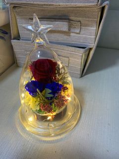 (Category: ) located in . Submitted by doris_florist (Listing ID 1019951723, Image 1). Description: .