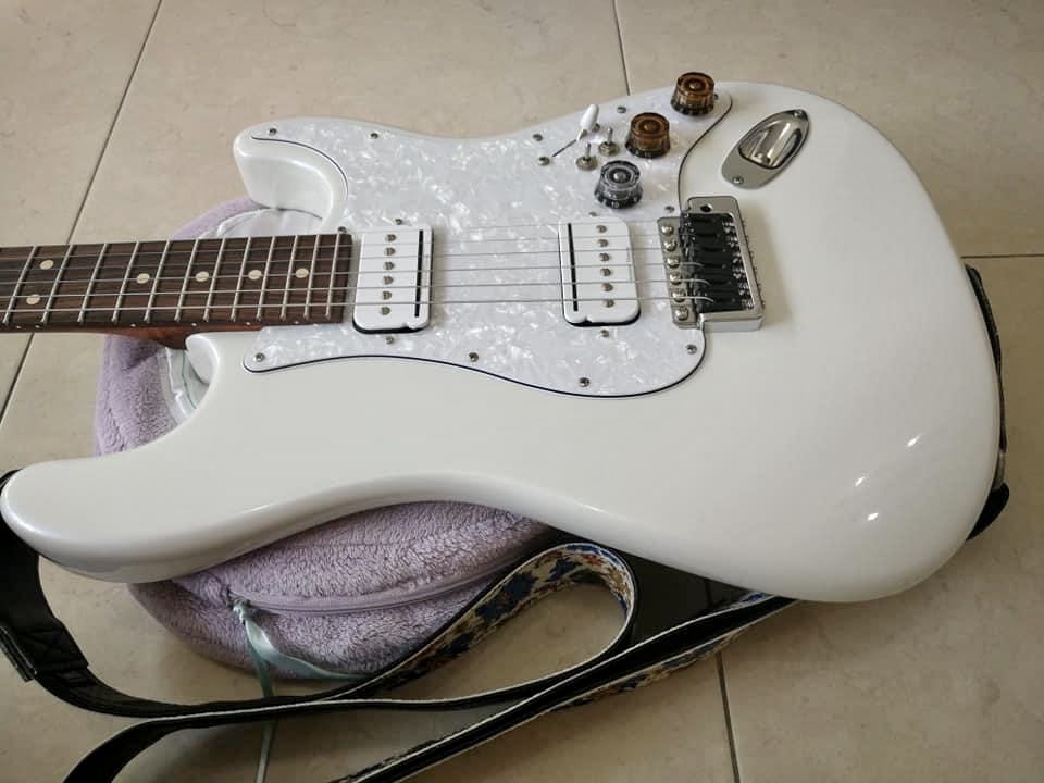 Warmoth Fender Stratocaster Body Walnut Hobbies Toys Music
