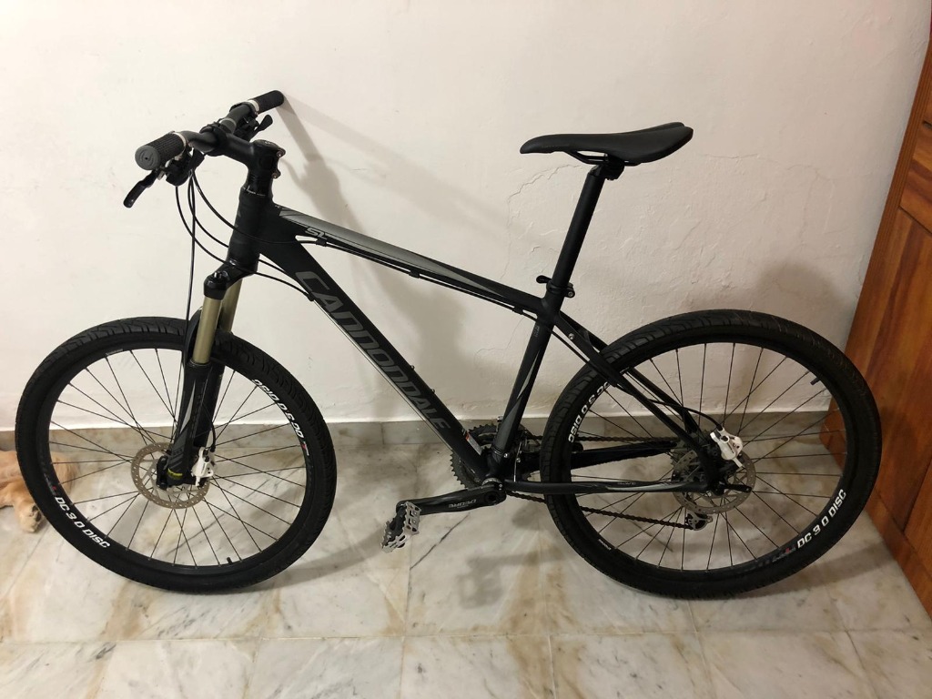 cannondale xt