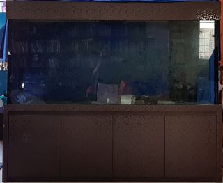 (Category: ) located in . Submitted by haliqaadam (Listing ID 1020208549, Image 1). Description: .