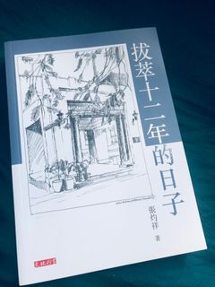 （分類：）位於 。 由 corcorpor 提交（商品編號 1020044279，圖片 1）。簡介： 。