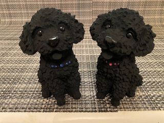 （分類：）位於 。 由 goldendoggie.10050607 提交（商品編號 1020171635，圖片 1）。簡介： 。