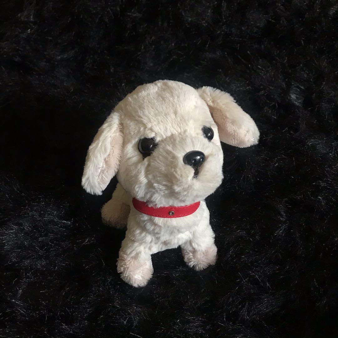 Boneka Sunlemon Labrador Retriever Boneka Dog Toys Collectibles Mainan Di Carousell