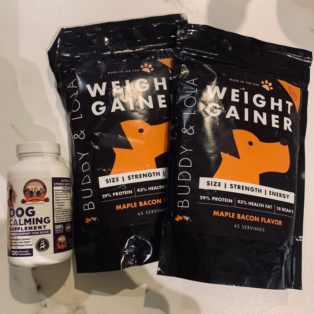 Buddy and lola weight gainer online