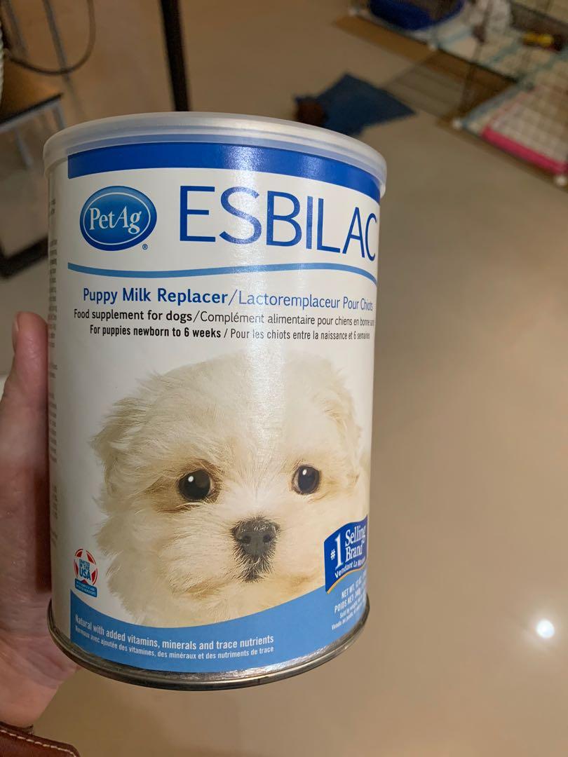 Esbilac Milk Powder Pet Supplies Pet Food on Carousell